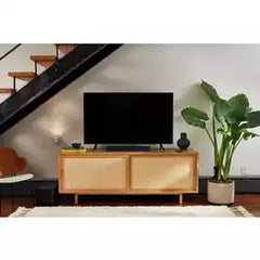 Bose TV Speaker