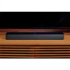 Bose TV Speaker